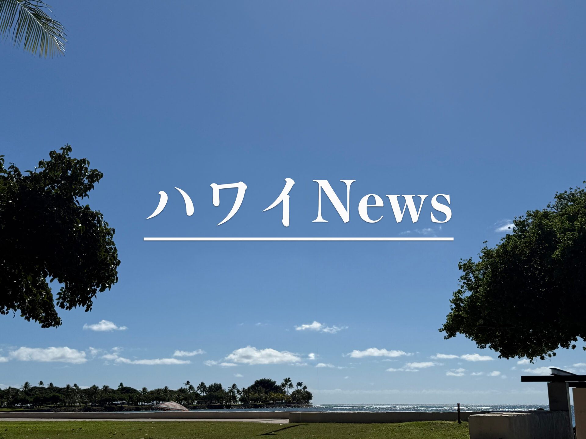 ハワイNews